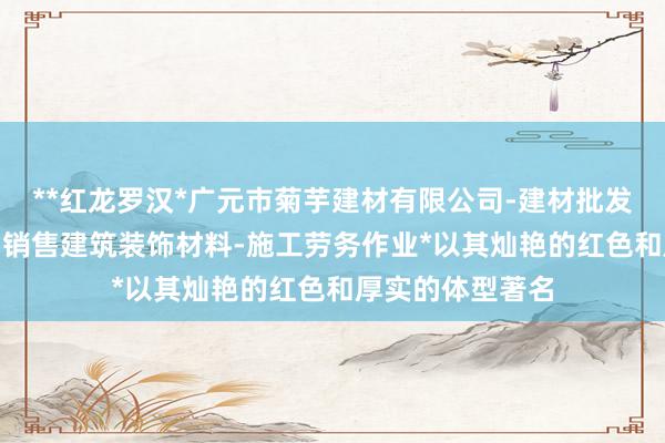 **红龙罗汉*广元市菊芋建材有限公司-建材批发-建筑劳务分包-销售建筑装饰材料-施工劳务作业*以其灿艳的红色和厚实的体型著名