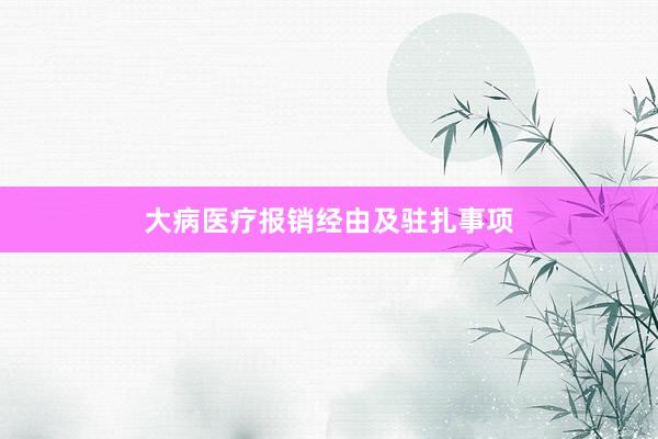 大病医疗报销经由及驻扎事项
