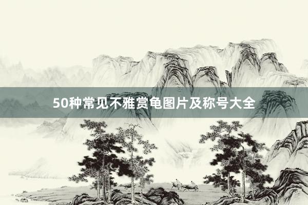 50种常见不雅赏龟图片及称号大全