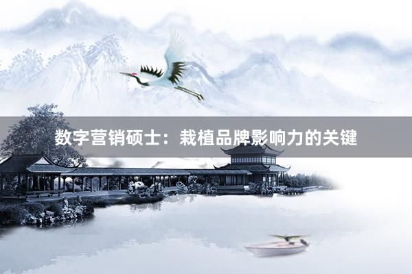 数字营销硕士：栽植品牌影响力的关键